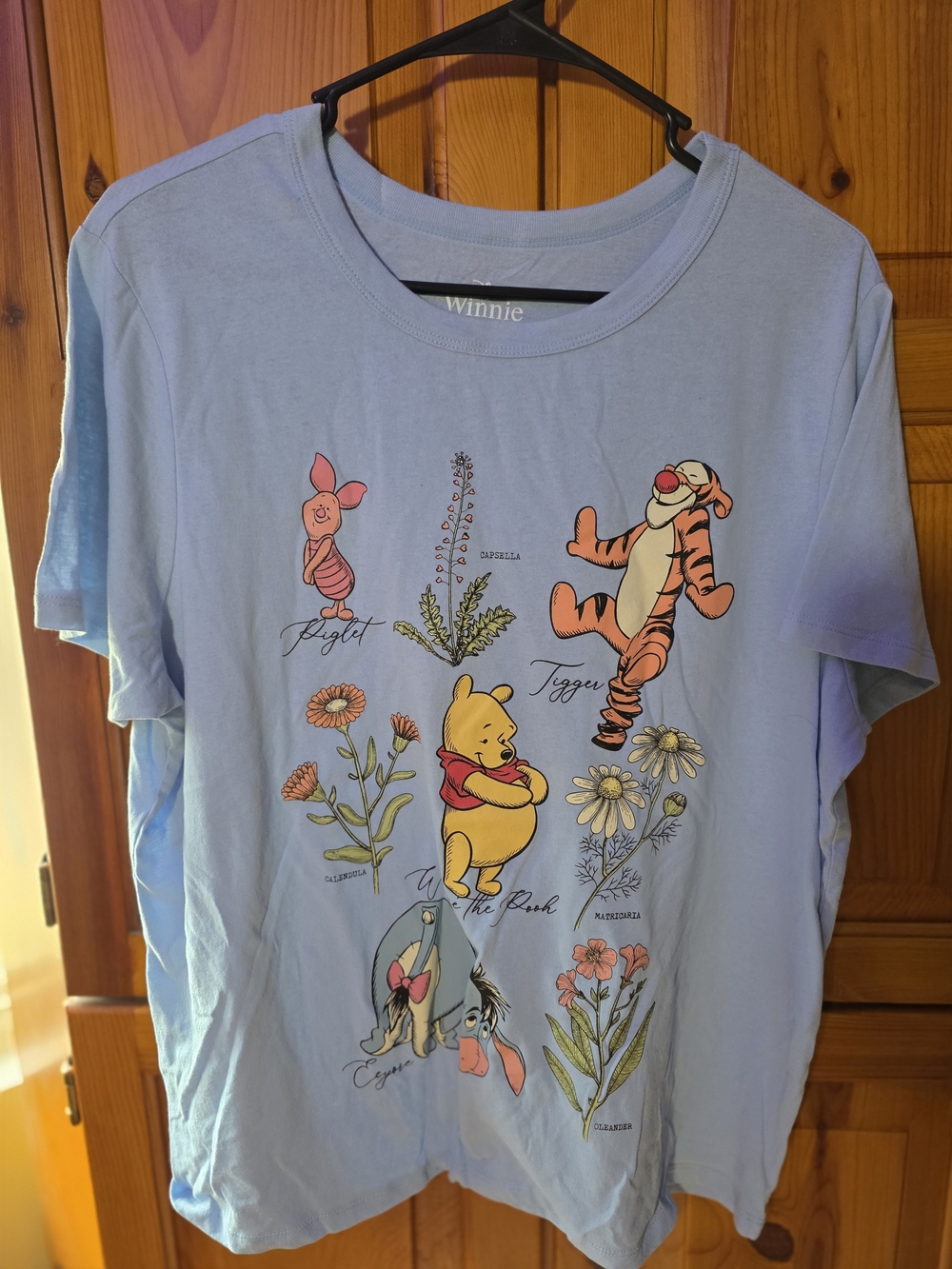the Pooh Light Blue Graphic Tee featuring Pooh & Friends